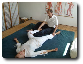 shiatsu2